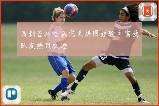 马刺签托哈成完美拼图经验丰富受队友热烈欢迎