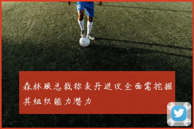 森林狼总裁称麦丹进攻全面需挖掘其组织能力潜力